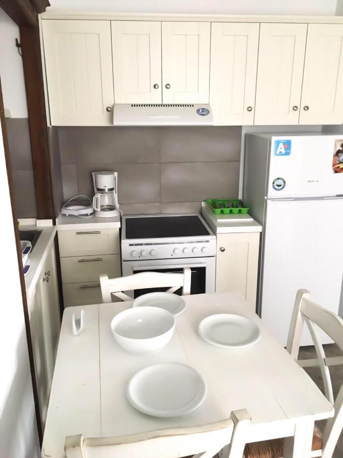 Thomas Traditional House In Chora Appartement *