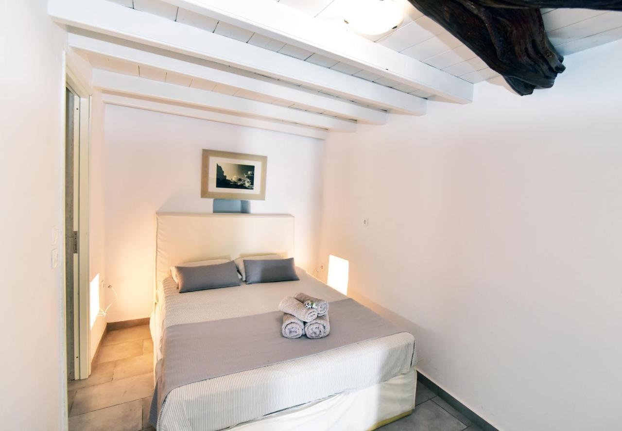 Thomas Traditional House In Chora Appartement *