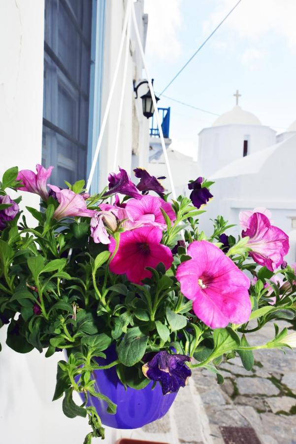 Appartement Thomas Traditional House In Chora